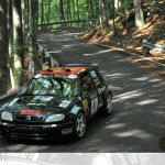 Rally di Majano 2013